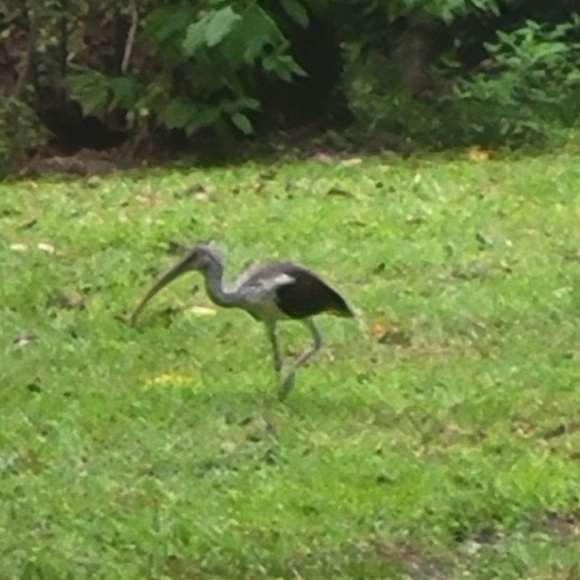 About Posher - Picture 7 of 10